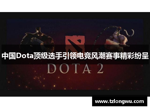 中国Dota顶级选手引领电竞风潮赛事精彩纷呈 中国Dota顶级选手引领电竞风潮赛事精彩纷呈